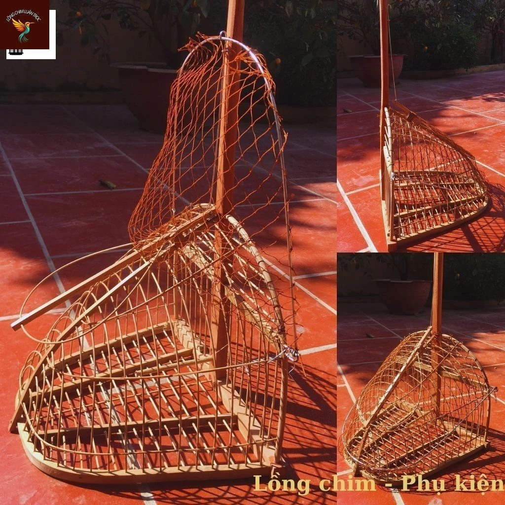 Làm thế nào để chọn lồng bẫy chim phù hợp và tránh bẫy “hớ” chim?