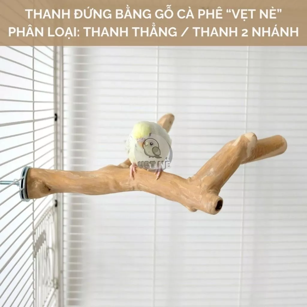 Làm thế nào để chọn thanh đứng bằng gỗ cà phê phù hợp cho vẹt của bạn?