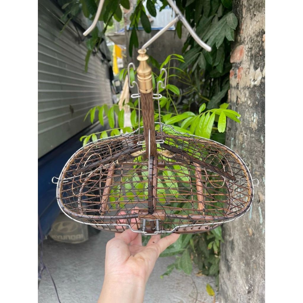 Làm thế nào để chọn lồng bẫy chim Vành khuyên hiệu quả mà không mắc phải 3 sai lầm thường gặp?