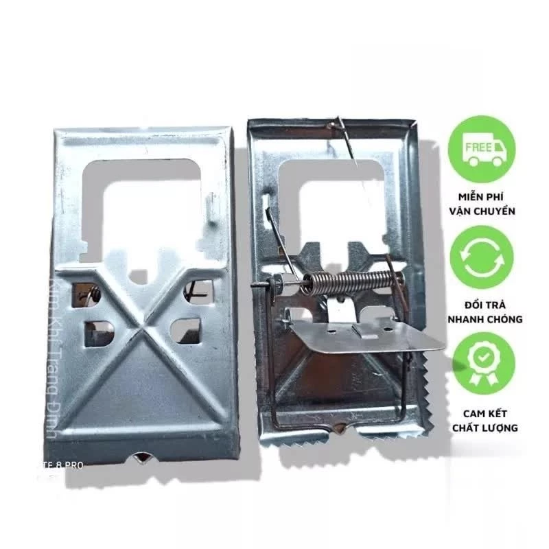 Làm thế nào để bẫy chuột hiệu quả mà không cần sử dụng hóa chất độc hại?