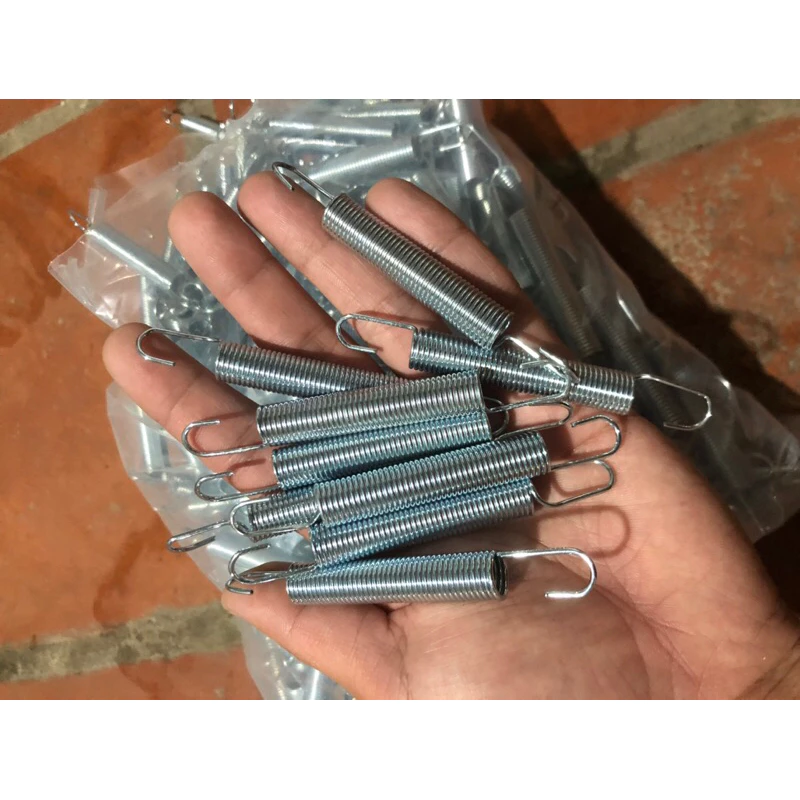 Lò Xo Bẫy Chuột Cống Có Phải Là Giải Pháp Hoàn Hảo Cho Mùa Côn Trùng?