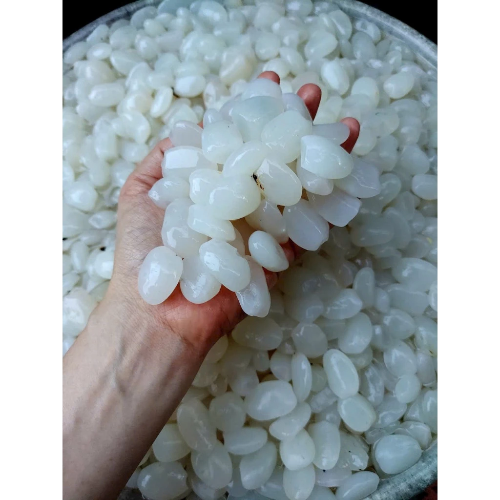 Hạt Đác Tươi Non: Mẹo Chọn và Sử Dụng Để Tránh Lãng Phí và Đảm Bảo Hương Vị Hoàn Hảo