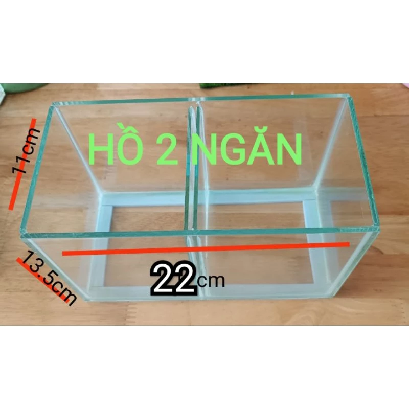 Làm thế nào để chọn hồ kính 2 ngăn phù hợp cho người mới chơi cá cảnh?