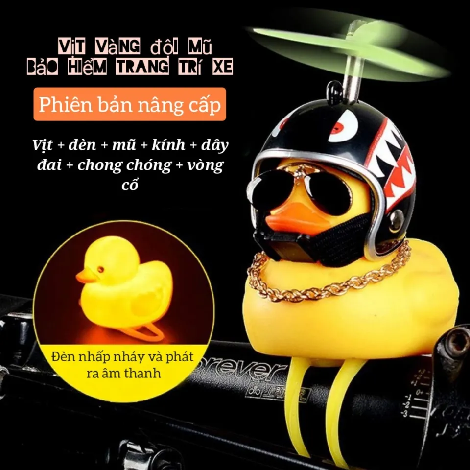 Vịt đội mũ bảo hiểm trên xe máy có thực sự giúp bạn tránh được tai nạn?