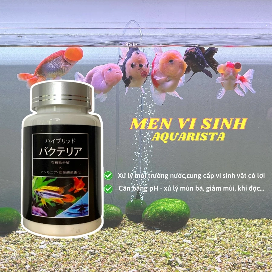 Làm sao để nước bể cá luôn trong và cá khỏe mạnh chỉ với viên vitamin và vi sinh Aquarista Nhật Bản?