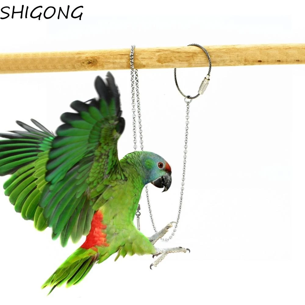 Làm thế nào để chọn chân nhẫn bạc phù hợp cho chim cảnh của bạn?