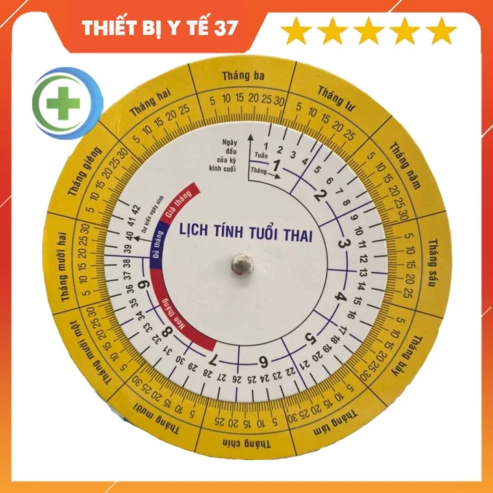 Cách tính tuổi thai chính xác mà mẹ bầu không nên bỏ qua khi sử dụng vòng tính tuổi thai