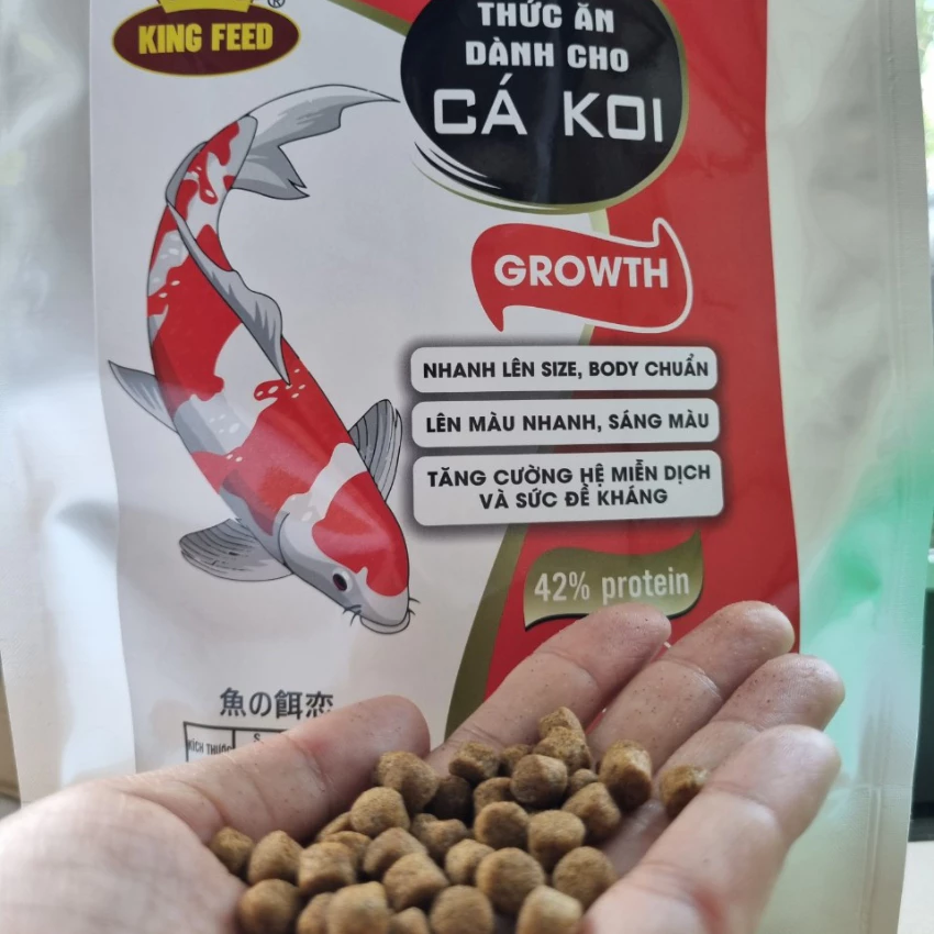 Làm thế nào để chọn cám cá Koi phù hợp và tránh lãng tiền?