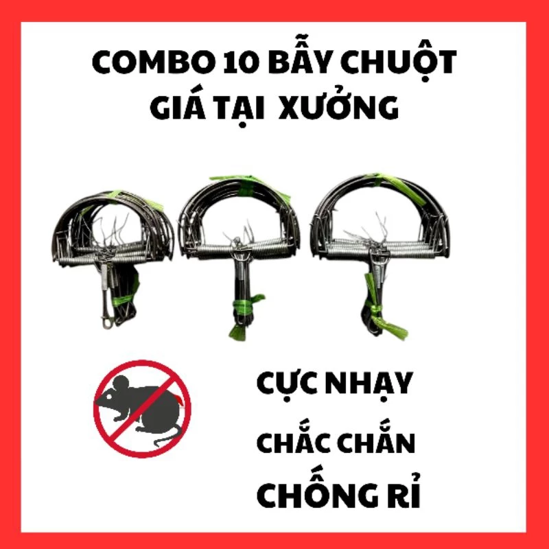Làm thế nào để bẫy chuột hiệu quả mà không cần dùng đến hóa chất?
