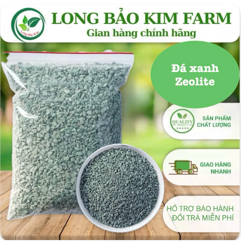 Đá Zeolite Có Thực Sự Tốt Cho Sen Đá Và Xương Rồng? Tôi Đã Học Được Gì Sau Khi Sử Dụng 1kg Đá Zeolite