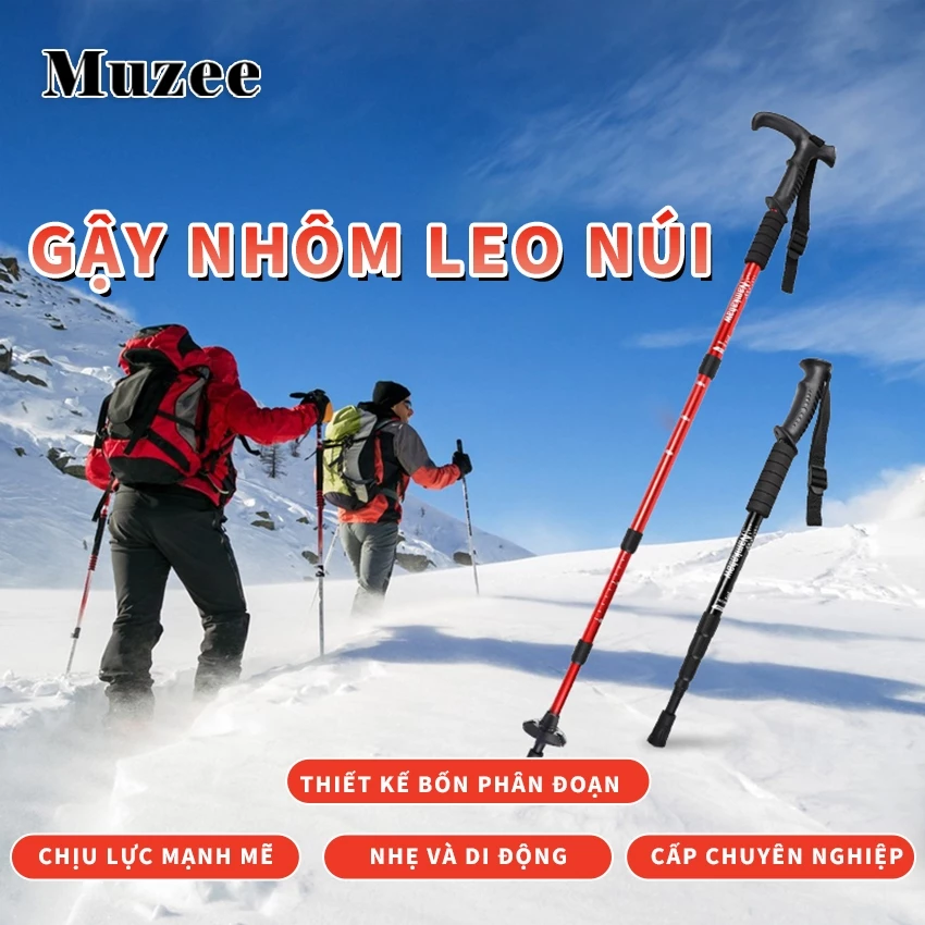 Làm thế nào để chọn gậy trekking phù hợp cho chuyến đi bộ đường dài của bạn?