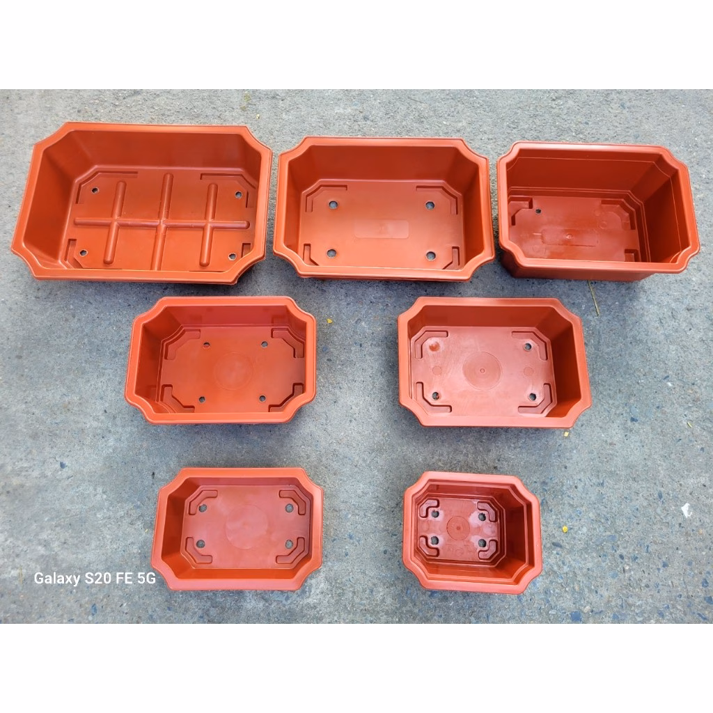 Chậu Trồng Bonsai Không Chỉ Để Trang Trí: Lỗi Thường Gặp Và Bí Quyết Chọn Chậu Nhựa Ang Phù Hợp