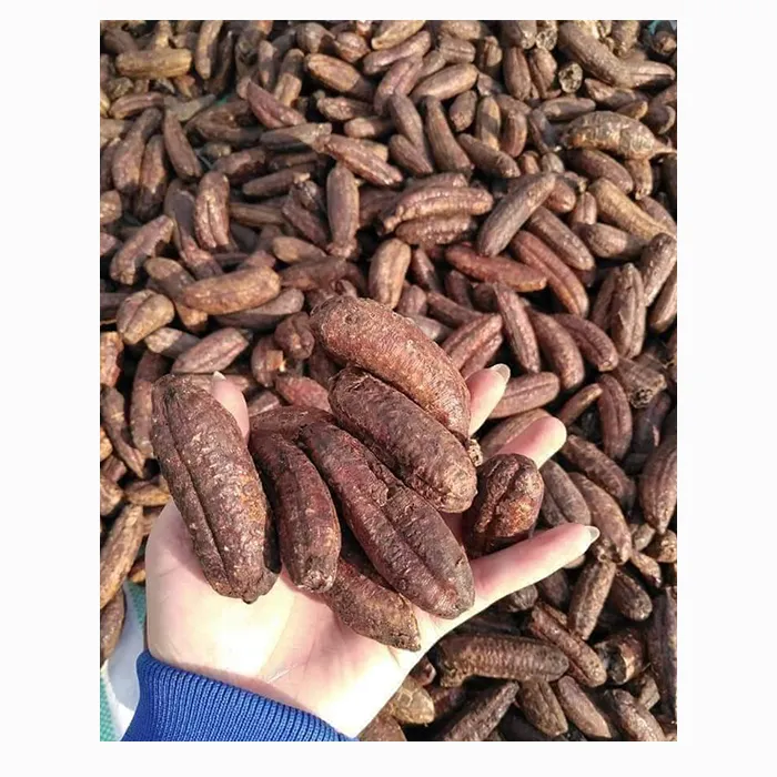 Tại sao chuối hột rừng khô lại là giải pháp bất ngờ cho người đau lưng và sỏi thận?