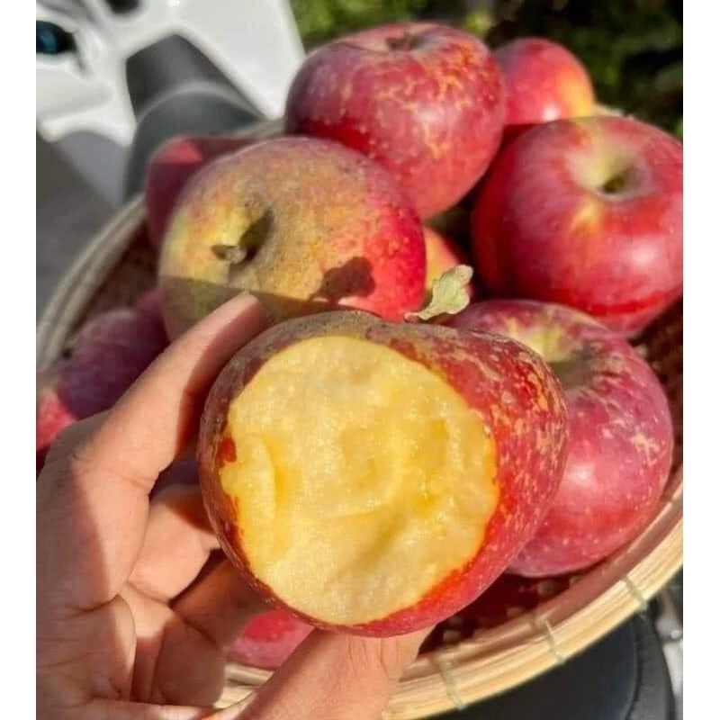 Táo đá giòn ngọt Organic có thực sự tốt cho sức khỏe như lời đồn?