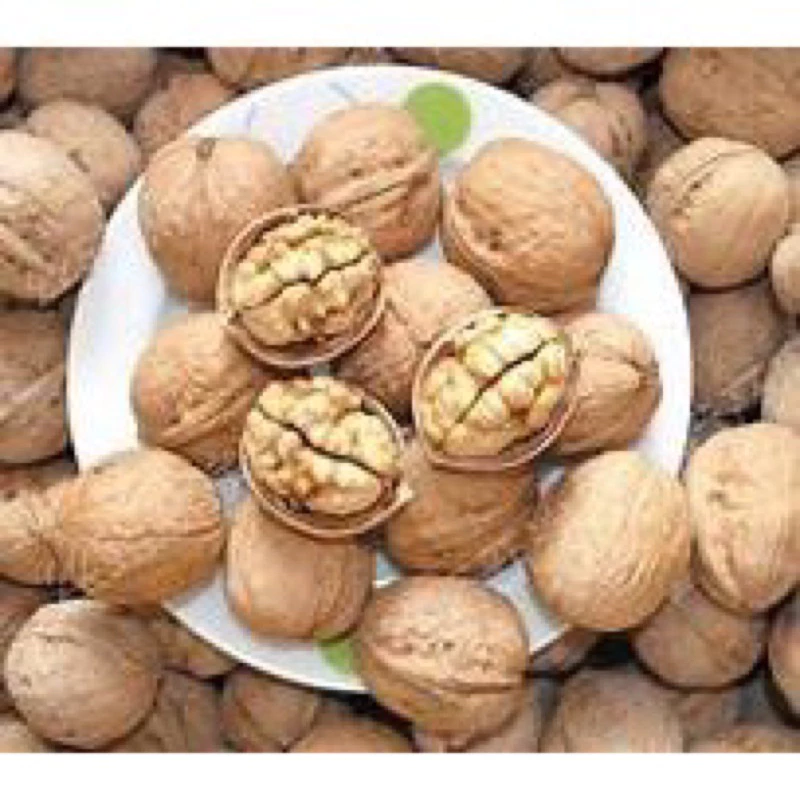 Vì sao Óc chó nếp Hà Giang lại là lựa chọn ‘vàng’ cho bữa ăn lành mạnh?