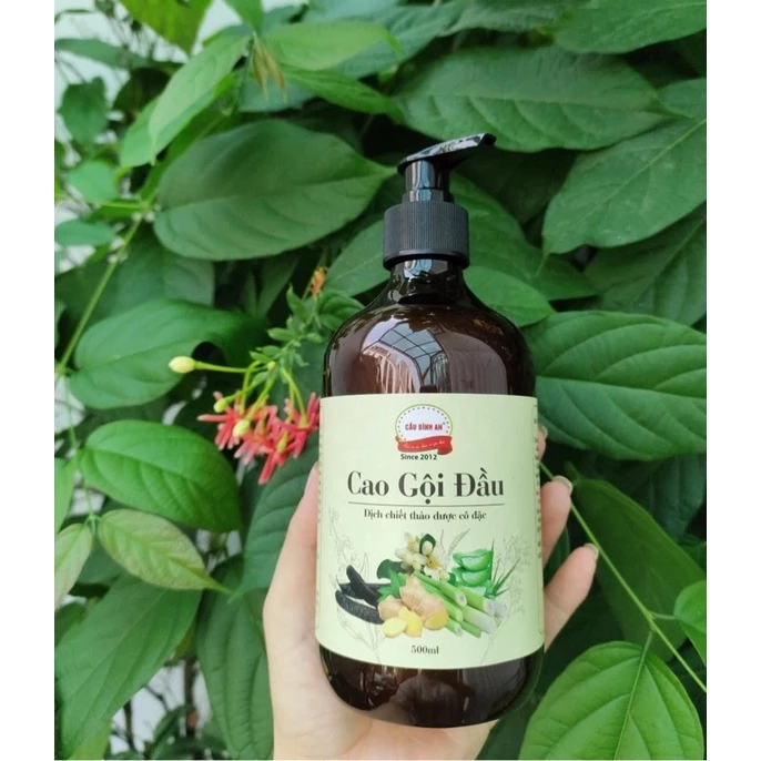 Bỏ túi ngay bí quyết giảm gãy rụng và kích mọc tóc hiệu quả với cao gội đầu, tránh những sai lầm thường gặp này!