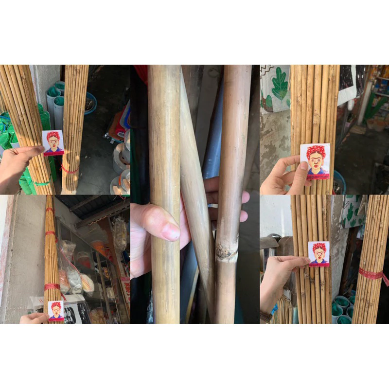 Làm Cần Câu Cá Hiệu Quả: 3 Sai Lầm Phổ Biến Khi Chọn Trúc Câu Cá Mà Bạn Nên Tránh