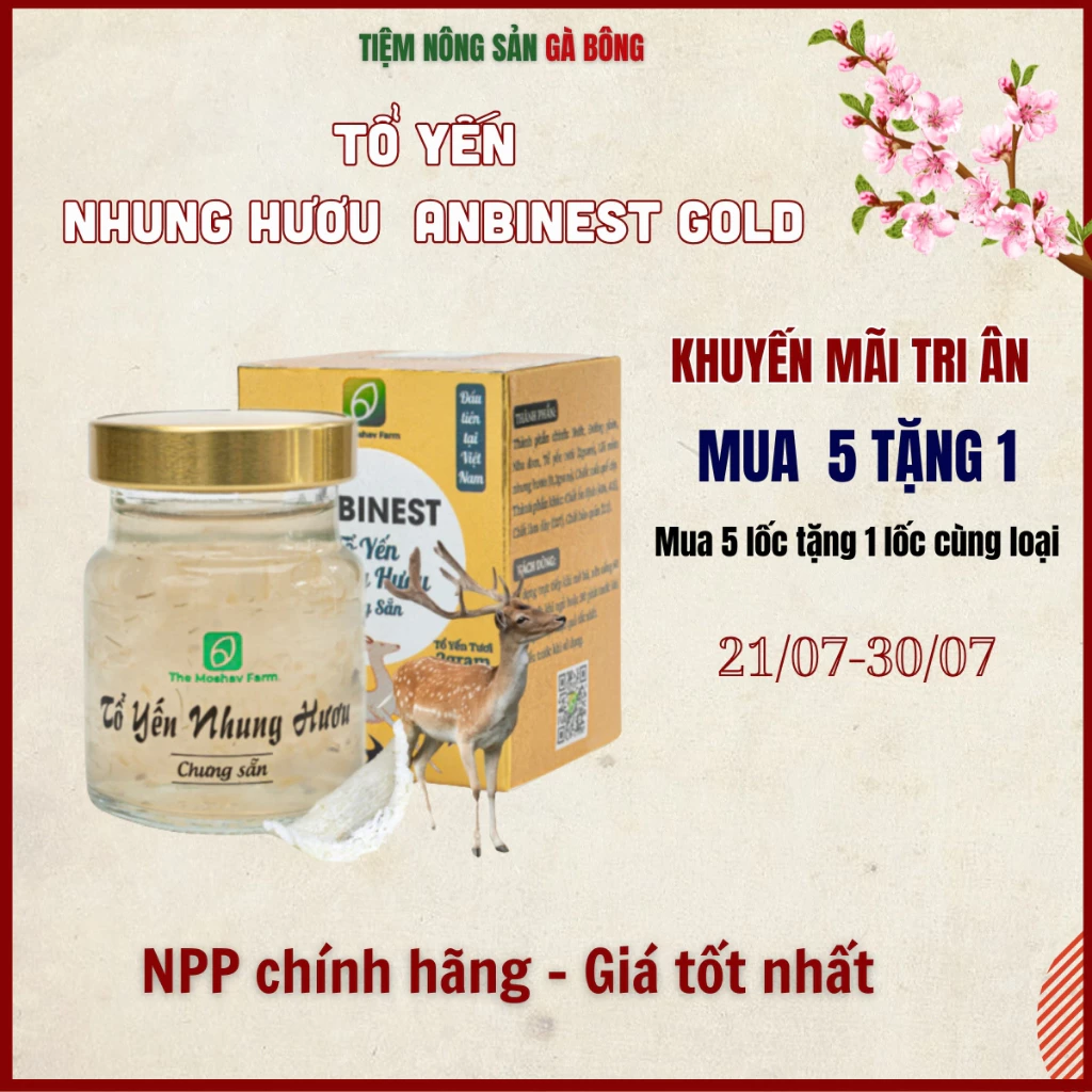 Làm thế nào để chọn tổ yến chưng nhung tốt nhất cho bé tăng đề kháng?