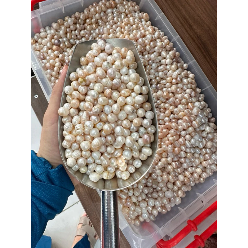 Liệu Ngọc Trai Thô Tự Nhiên Có Thực Sự Mang Lại May Mắn Như Truyền Thuyết?