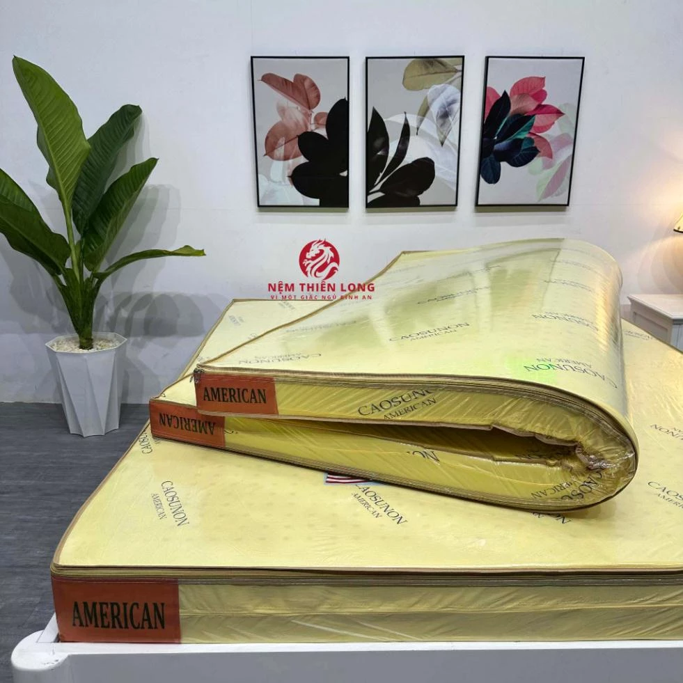 Nệm Cao Su Non American Có Đủ Tốt Để Giải Pháp Ngủ Ngon Mỗi Đêm?