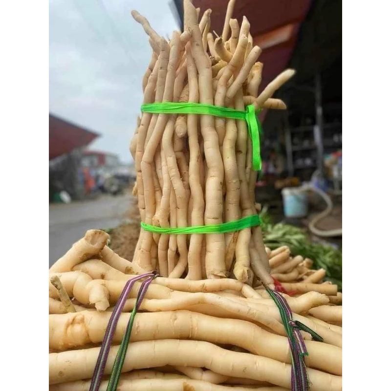 Sâm Xuyên Đá Hà Giang 1kg: Làm Thế Nào Để Phân Biệt Sâm Thật Và Sâm Giả?