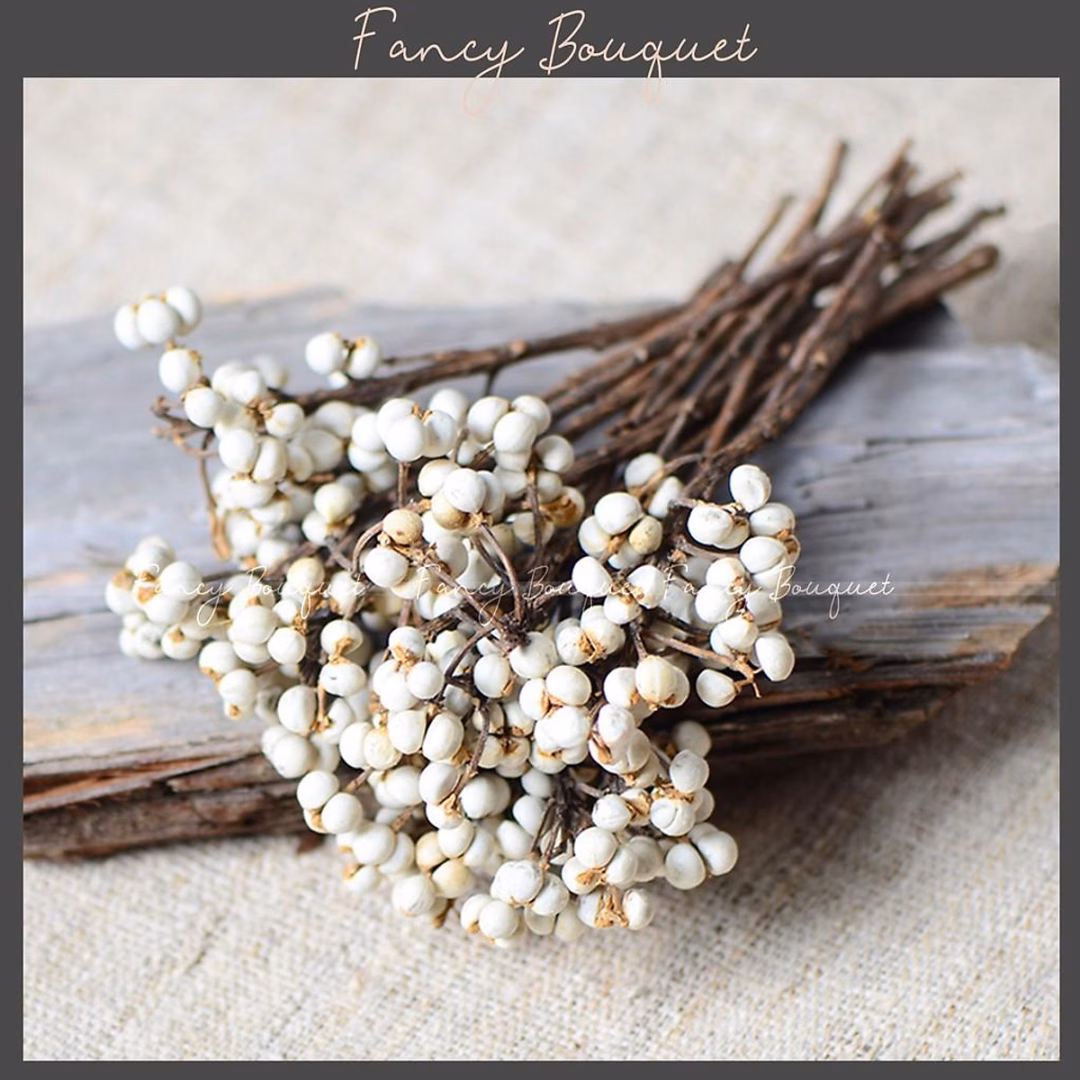 Cách cắm hoa bạch quả khô cho người mới bắt đầu: Tránh sai lầm thường gặp và bí quyết tạo không gian decor hoàn hảo
