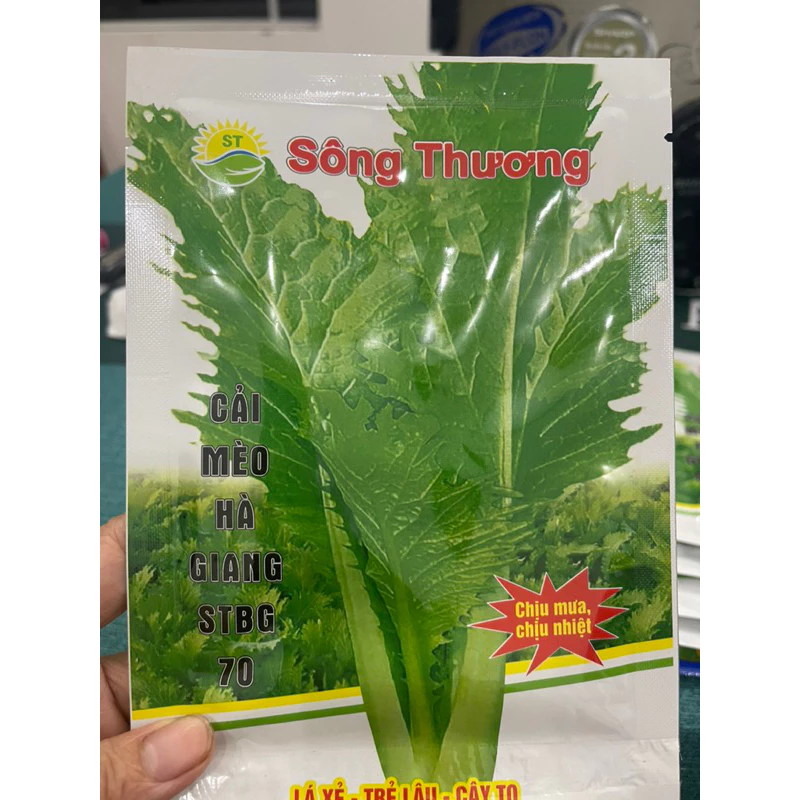 Làm sao để gói cải mèo Hà Giang tươi ngon không bị đắng khi chế biến?