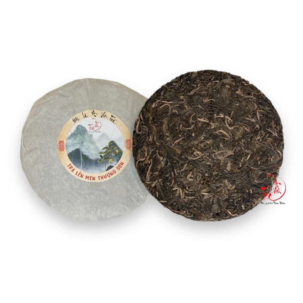 Mua trà Shan Tuyết cổ Thụ Hà Giang về mà uống không ngon, bạn có biết lý do?