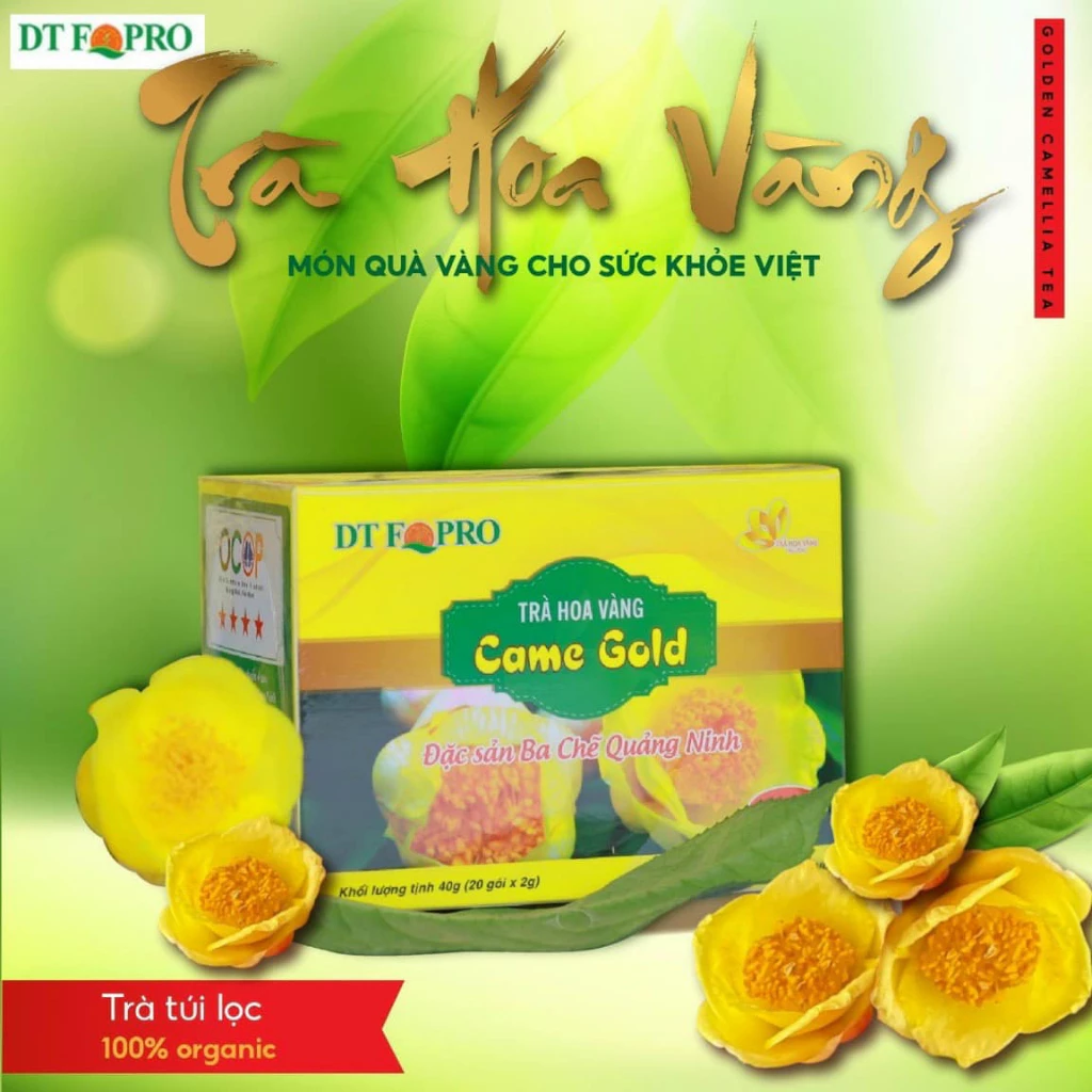 Uống trà thảo mộc sai cách có thể gây hại, đây là điều bạn nên biết về trà lá vàng Ba Chẽ Quảng Ninh