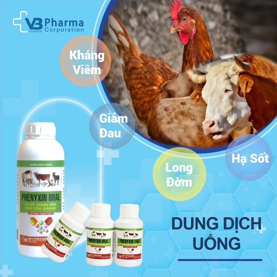 Làm thế nào để sử dụng PHENYXIN ORAL hiệu quả và an toàn cho thú cưng của bạn?