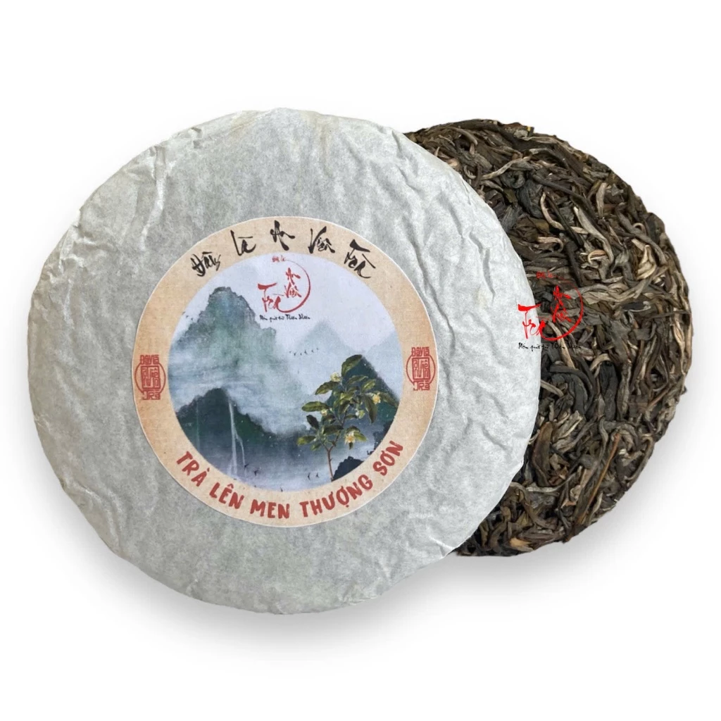 Làm thế nào để phân biệt trà Shan Tuyết cổ thụ Hà Giang thật và giả khi mua online?