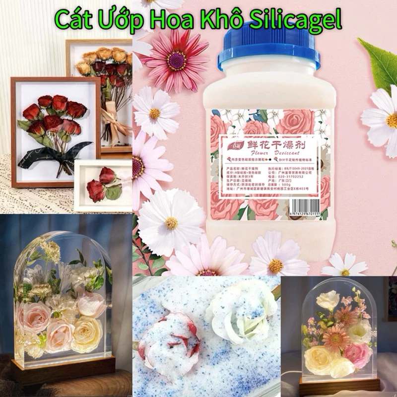 Mua Cát Silicagel Về Dùng Rồi Mới Biết: Bí Mật Đằng Sau Hoa Khô Không Héo