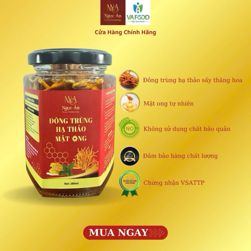 Đông trùng hạ thảo ngâm mật ong có thực sự tốt cho sức khỏe như lời đồn?