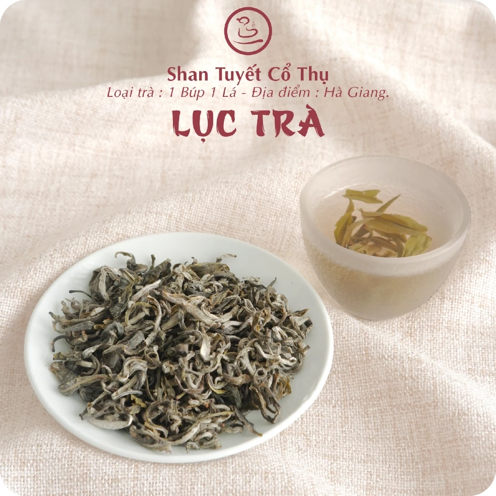 Làm thế nào để phân biệt trà xanh Shan Tuyết cổ thụ thật và giả khi mua hàng trực tuyến?