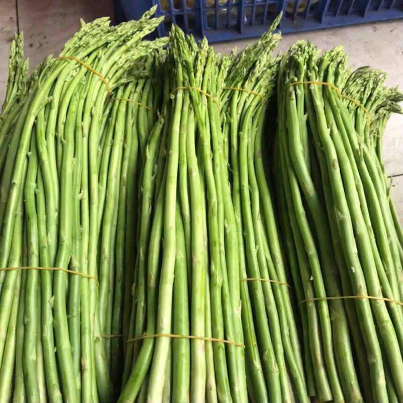 Măng Tươi Để Lâu Bị Đắng? Cách Chọn Và Bảo Quản Măng Tây Tươi Cho Người Bận Rộn