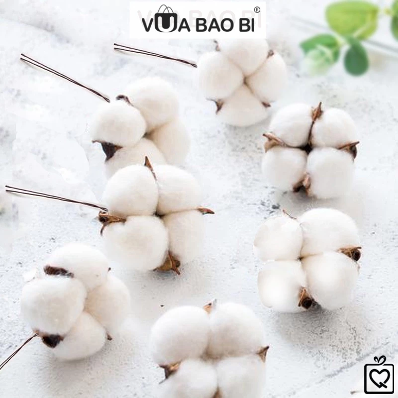 Làm thế nào để không lãng phí hoa bông khô tự nhiên khi trang trí nhà?