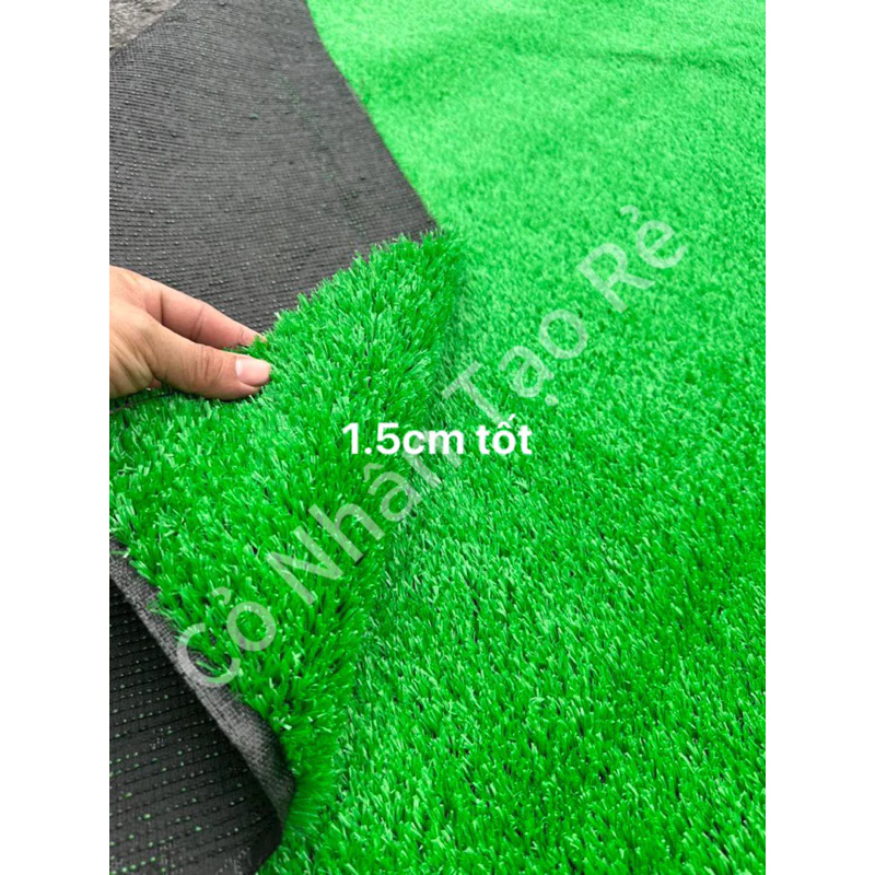 Làm sao để thảm cỏ nhân tạo 1.5cm không bị bung keo sau vài tháng sử dụng?