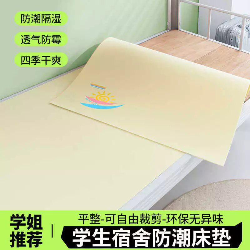 Tại sao thảm phòng ngủ chống ẩm lại là giải pháp cho ký túc xá sinh viên?