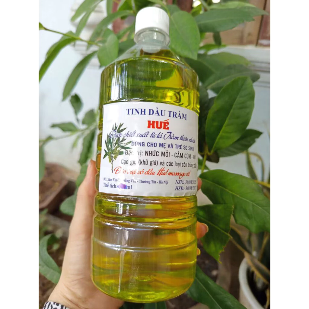 Tinh dầu tràm Huế có thực sự tốt cho bé như lời đồn? Mẹ đã dùng đúng cách chưa?