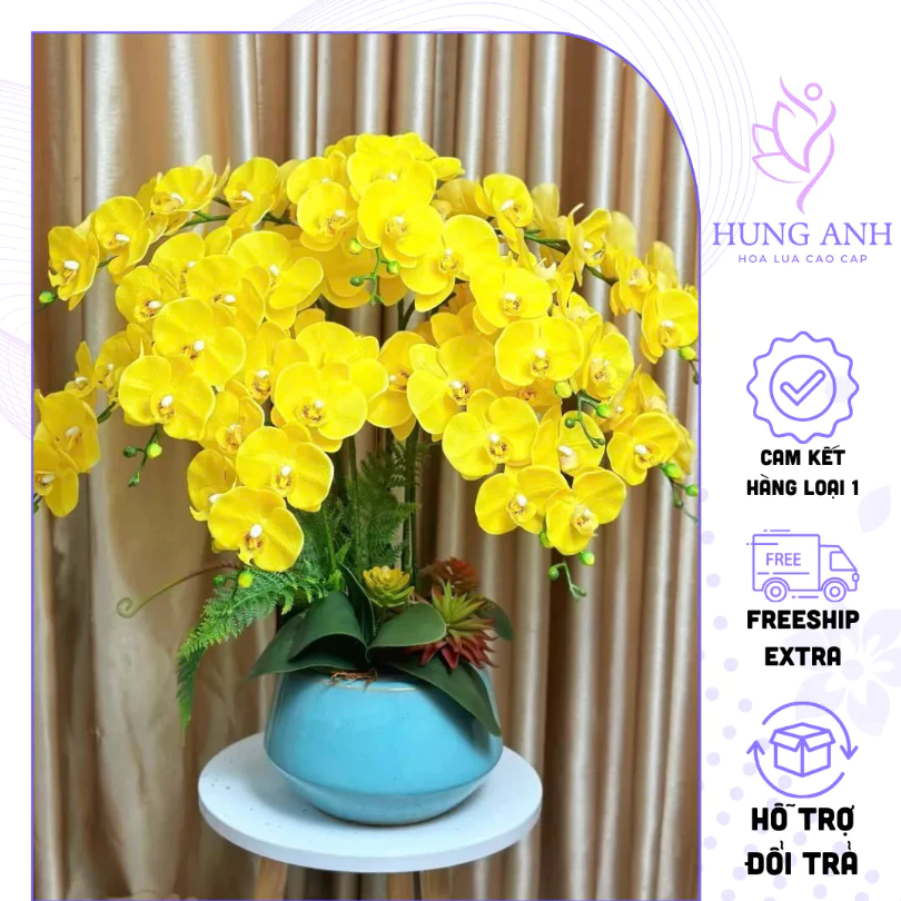 Làm thế nào để hoa lan hồ điệp 9 bông cao 90cm không chỉ đẹp mà còn tươi lâu trong phòng khách của bạn?