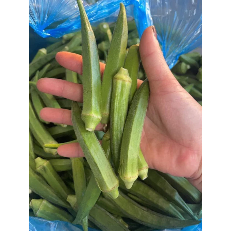 Mua đậu bắp về mà chưa biết làm gì? 5 phút đã có món ngon không thể chối từ với đậu bắp xào, nướng thả lẩu