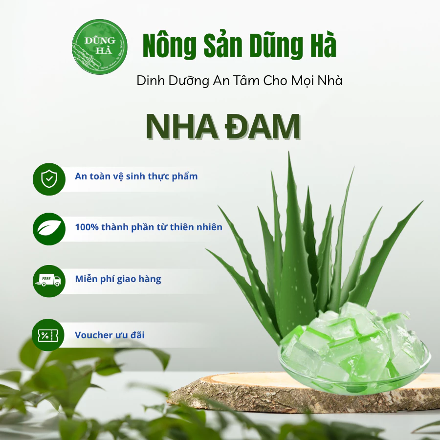 Nha Đam Tươi – Món Ăn Thanh Mát Mùa Hè Nhưng Dễ Gây SAI LẦM Khi Mua
