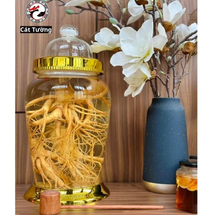 Làm thế nào để chọn bình ngâm rượu thủy tinh phù hợp cho không gian và nhu cầu của bạn?