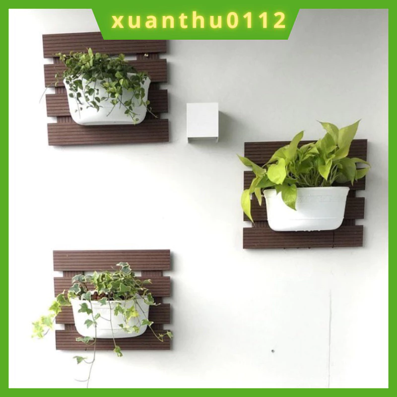 Làm thế nào để chậu ốp tường không bị rơi khi trồng cây nặng?