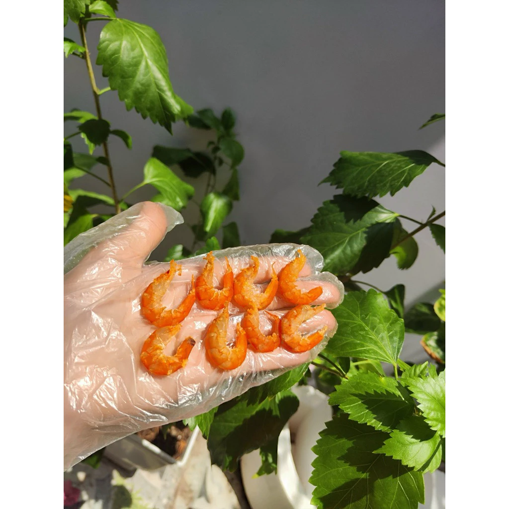 Tôm khô Cà Mau có thực sự tốt cho sức khỏe nếu không biết chọn đúng loại?