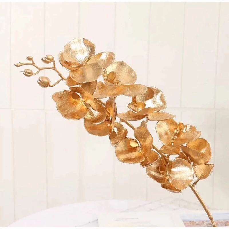 Tôi đã vô tình mua phải cành lan đồng giả và đây là những điều tôi rút ra khi chọn loại VIP 1