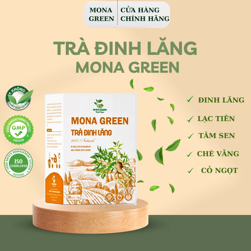 Uống Trà Đinh Lăng sai cách có thể phản tác dụng? Tôi đã học được gì sau 1 tháng sử dụng trà Đinh Lăng MONA GREEN