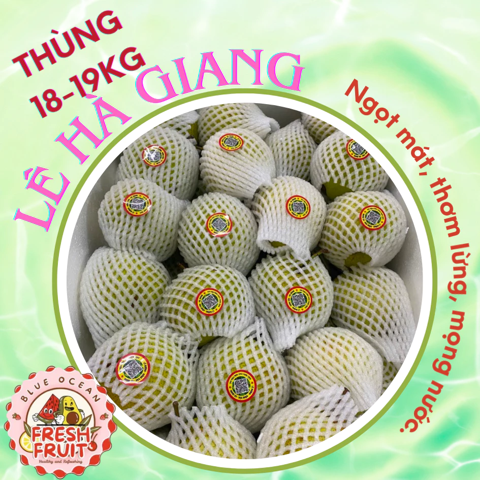 Táo Lê Hà Giang 15kg – Mẹo Chọn và Bảo Quản Táo Tươi Mãi Cả Tuần