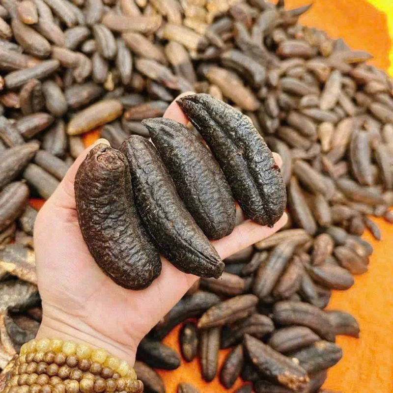 Muối Mít Hột Rừng Có Giúp Điều Trị Viên Sỏi, Đau Dạ Dày Không?