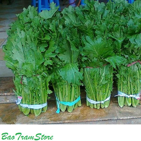 Mẹ Bỉm Cần Biết: Cách Chọn Hạt Giống Rau Cải Mèo Hà Giang Tốt Cho Bé Ăn Dặm